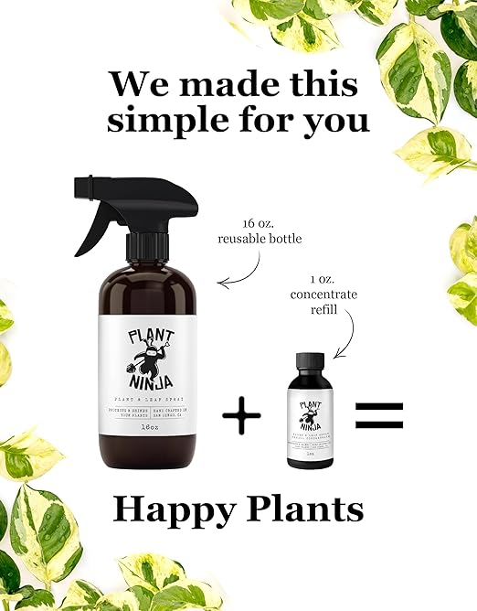 Plant &amp Leaf Spray – Non-Toxic Leaf Shine &amp Protector | Eco-Friendly Safe for Indoor Plants | Handcrafted Women-Owned 3rd Generation Recipe | Plant-Based Formula with Gentle Silicone