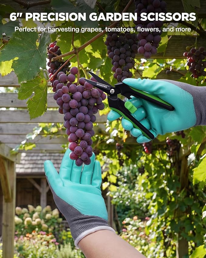 WORKPRO Plant Tying Machine with 6 Scissors Lightweight Tape Gun for Tying Vines and Support Plant Includes Gloves 20 Rolls of Tape 10000 Staples Ideal for Tomatoes Grapes Cucumber Vegetables