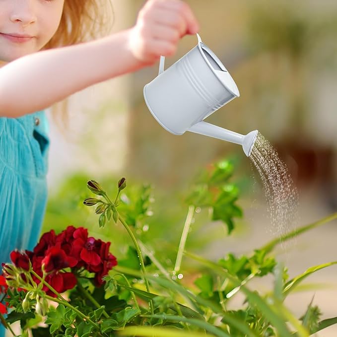 Small Metal Watering Can Set Pink 1.2L and 0.23L Garden Cans with Long Spout Indoor Outdoor Plant Care (White)