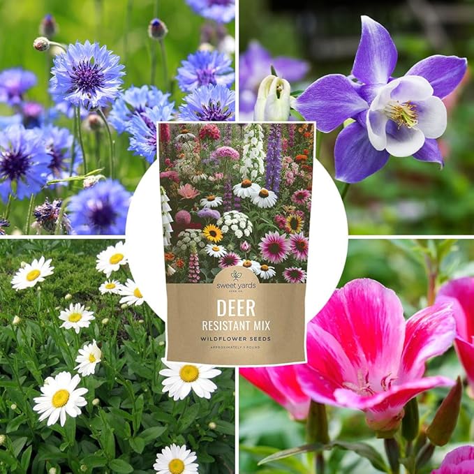 Deer Resistant Wildflower Seed Mixture - Bulk 1 Pound Bag - Over 240000 Deer Tolerant Seeds - Open Pollinated and Non GMO