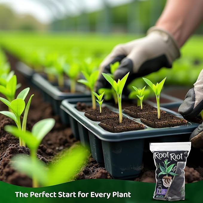 Root Riot Plant Starter Cubes Made from Sphagnum Peat Moss. Ideal for Cuttings and Seeds Designed to Support Robust Root Development - 100 Cubes