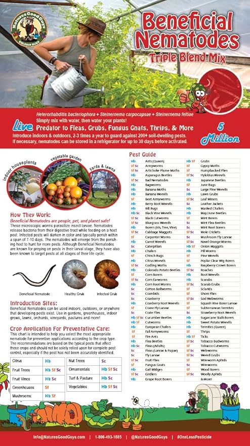 Live Beneficial Nematodes - 15 Million Hb+Sc+Sf - Kills Over 200 Different Species of Soil Dwelling and Wood Boring Insects.