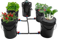 Hydroponic System5Gallon 5 BucketsIndoor Deep Culture Growing Kit Air PumpWater Level Assemblyfor Garden Balcony