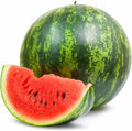 Watermelon Garden Seeds - Shiny Boy Hybrid (Treated) - Non-GMO Vegetable Gardening Fruit Melon Seeds (1000 Seeds)