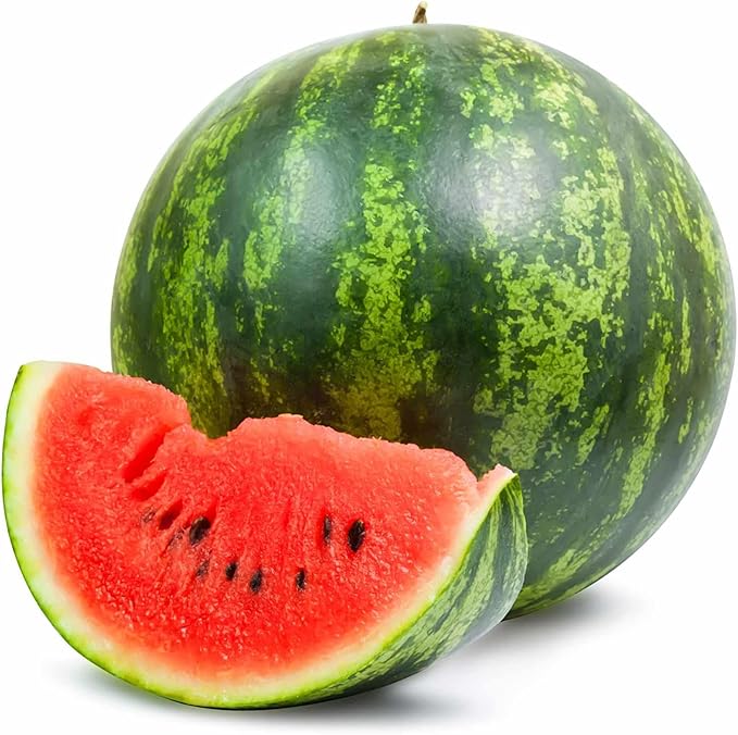 Watermelon Garden Seeds - Shiny Boy Hybrid (Treated) - Non-GMO Vegetable Gardening Fruit Melon Seeds (1000 Seeds)