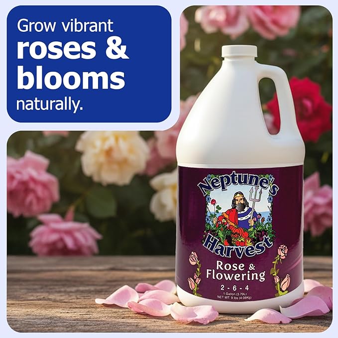Neptune's Harvest Rose &amp Flowering Fertilizer (2-6-4) - 1 Gallon - Organic Liquid Rose Food for Vibrant Blooms &amp Growth - Promotes Healthy Foliage - Ideal Fertilizer for Indoor &amp Outdoor U