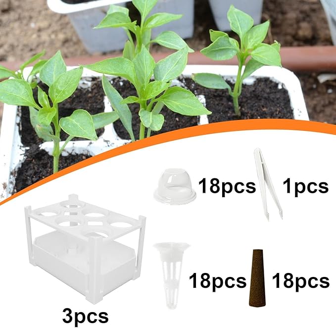 HouseVibe Hydroponics Growing System 6 Hole Indoor Garden Kit Portable Planting Container for Herbs Vegetables Market Balcony Office- 3 Set