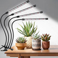Black Clip Grow Lights for Indoor Plants 168 Full Spectrum LEDs Clip Plant Growing Lamps with Flexible Gooseneck and 4/8/12/18H Timer 3 Spectral Modes 10 Dimmable Levels (4 Head 1 Pack)