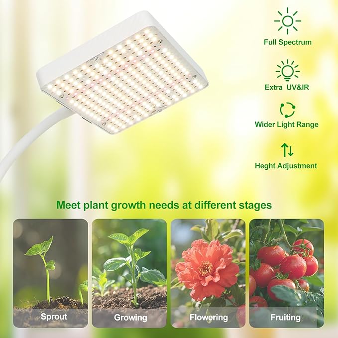 2Head Tabletop Grow Light Bright and Big Coverage Grow Lights for Seed Starting Bonsai Succulent 4/8/12/16/20H Timer 50 Watt Power Draw NO Need Adapter 16-24 Height Adjustable