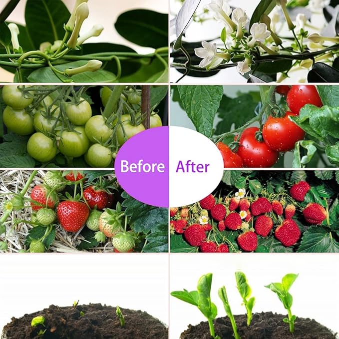 LED Grow Light for Indoor Plants Growing Lamp 600W Dual Chips 380-730nm Plant Lights Bulb Panel Hanging Kit for Seedling Hydroponics Greenhouse Veg and Flower Full Light Spectrum