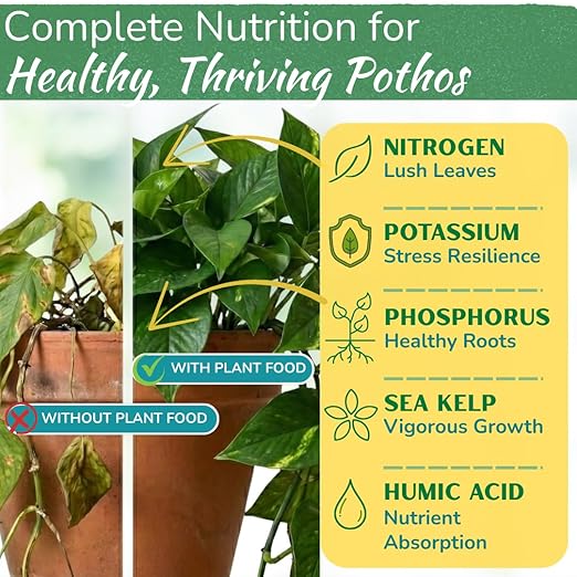 Pothos Fertilizer – Liquid Plant Food for Strong Roots Healthy Growth &amp Lush Foliage – 3-3-3 NPK Formula with Sea Kelp Humic &amp Fulvic Acid – Essential Nutrients for Neon Pothos or Devil’s Iv