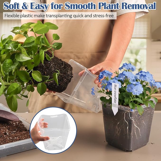 5.5 Inch Clear Square Nursery Pots with Drainage &amp Labels 30Pcs Reusable Seed Starter Pots for Vegetables Indoor Outdoor Gardening Thick Transparent Plastic Plant Pots for Seed Starting