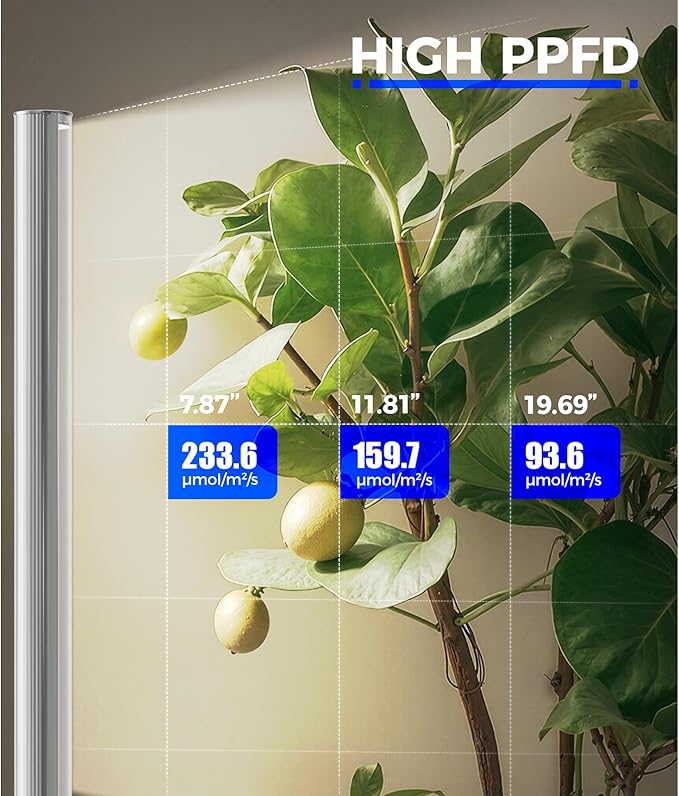 Barrina T1S Standing Grow Light for Indoor Plants with Timer 65W 660nm High PPFD Tera Series Vertical Full Spectrum Grow Lights Adjustable Height 5FT-5.6FT Foot Switch Non-Glare Design Silver