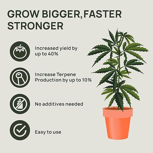 Strive Fertilizer Starter Kit Combo - Veg + Bloom General Hydroponic Nutrients - Indoor Outdoor and Soil Growing Plant Food - Booster for Vegetables Succulents Flowers (Trial Combo 300 Grams)