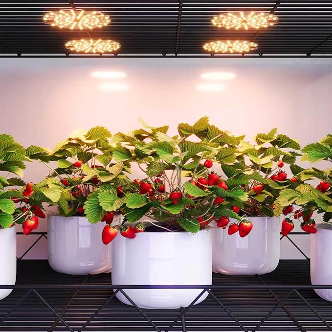 LED Grow Light