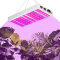 Full Spectrum LED Grow Light for Indoor PlantsPlant Lamp with Hanging Kit Suitable for Seedlings Succulents Flowers &amp Vegetables (B1-2000W)