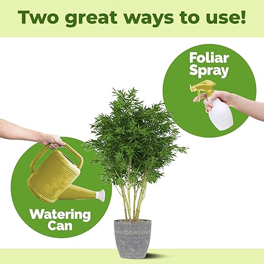 Bamboo Plant Food – Liquid Plant Food for New Shoot Growth Rich Green Leaves &amp Strong Root Development 32 oz