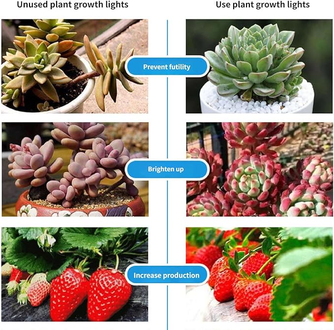 LED Grow Lights for Indoor Plants Plant Grow Lights Full Spectrum Auto ON Off with 3/9/12H Timer 9 Dimmable Lightness Clip-On Desk Grow Lamp Bulbs (Three Head)