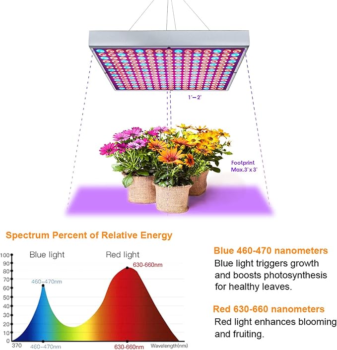 Diboys LED Grow Lights 75W Growing Lamp Bulbs for Indoor Plants Red Blue Full Spectrum Plant Light for Seedling Gardening Hydroponics Greenhouse