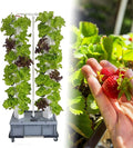 Hydroponics Growing System 64 Holes Herb Growing Kit with Pump Vertical Grow Tower Growing Indoor Gardening System for Herbs Fruits and Vegetables