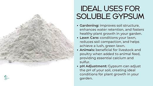 The Seed Supply 20 Pounds Diamond K Gypsum Soluble Grade Fertilizer Powder