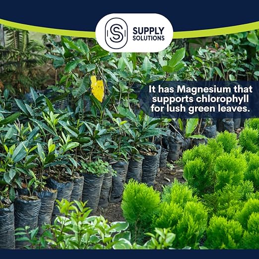Supply Solutions 12-6-6 Ornamental Booster Fertilizer - Plant Food Topdress on Foliage Nurseries and Landscapes - Controlled Release NPK Plant Fertilizer with Macro and Micro Nutrients (25lbs)