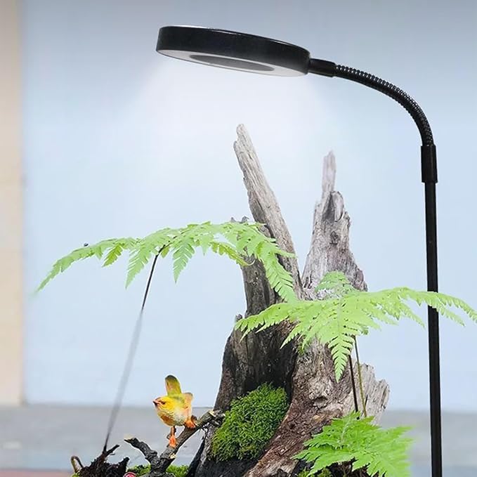 LED Grow Light Compact and Adjustable 30cm Full Spectrum LED Light Terrarium Growing Lamp Long-Lasting T for Aquariums Terrariums Home Office Or Study Desks