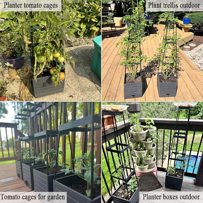 Tomato Cage with Trellis 43 H Tomato Planter Box Outdoor for Climbing Plants Flowers Potato Vine Vegetables Portable Self Watering Raised Garden Bed for Patio Greenhouse