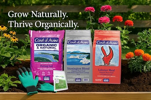 Coast of Maine LM6000 Lobster Meal Plant Food 4 LB – Natural Organic Fertilizer with Calcium for Soil Health with My Garden Pool Soil Test Strips &amp Gardening Claw Gloves