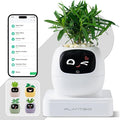 Smart Planter with App Control Self-Watering AI Plant Pot with LCD Display Interactive Desk Plant Companion for 100+ Plants Smart Indoor Planter with Pomodoro Timer80ml ReservoirCalendar-White