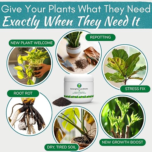 Houseplant Soil Conditioner &amp Probiotic – Organic Growth Booster (1-1-4) for Rejuvenating Tired Plants | Improves Soil Structure &amp Nutrient Availability for Stronger Roots &amp Fuller Leaves