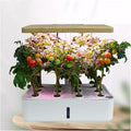 Indoor Hydroponics System Indoor Garden Hydroponic Indoor Gardenfor Fruits and Vegetableswith Hydrating Pump AdapterHydroponics Growing System for Indoor Fruits and Vegetables wyqdp240305