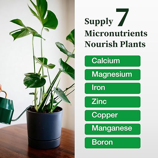 FOLLOWIN Monstera Plant Food Liquid Fertilizer Indoor Outdoor Tropical Plant Nutrients 3-1-2 NPK Promotes Fenestrated Leaves 21 oz Easy-Dose Bottle
