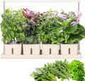 Hydroponics Growing System Indoor Herb Garden with 3 Kinds of Led Grow Light 20h Timer 75cm Adjustable Light Stand Separate Planting Box Water Inlet Design Smart Garden Hydroponic