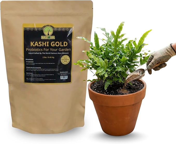 BuildASoil Kashi Gold Bokashi Compost Starter 2 lbs. Organic Compost Activator with EM-1 Effective Microorganisms Fermentation Bacteria for Composting &amp Gardening Premium Bokashi Bran Soil Enhan