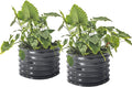 17 Tall Herb Raised Garden Bed for Basil Lavender Sages 24 Wide Round Fruit Tomato Planter Box for Gardening Blueberries Figs Flower Metal Pot Container for Rose Twin Pack Modern Gray