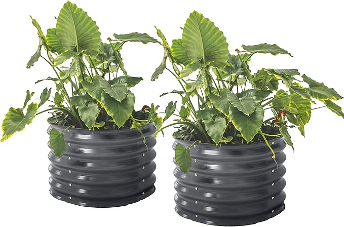 17 Tall Herb Raised Garden Bed for Basil Lavender Sages 24 Wide Round Fruit Tomato Planter Box for Gardening Blueberries Figs Flower Metal Pot Container for Rose Twin Pack Modern Gray