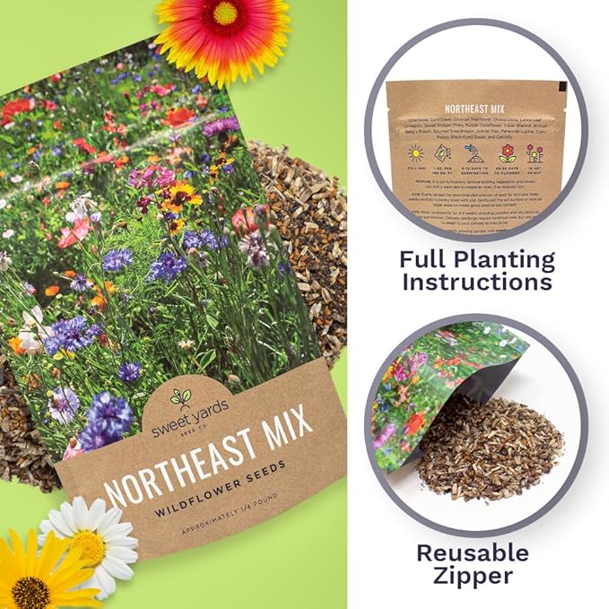 Sweet Yards - Northeast Wildflower Seed Regional Mixes - Bulk 1/4 Pound Bag - Over 30000 Native Seeds - Open Pollinated and Non GMO Varieties for New York Virginia Pennsylvania Maine and More!