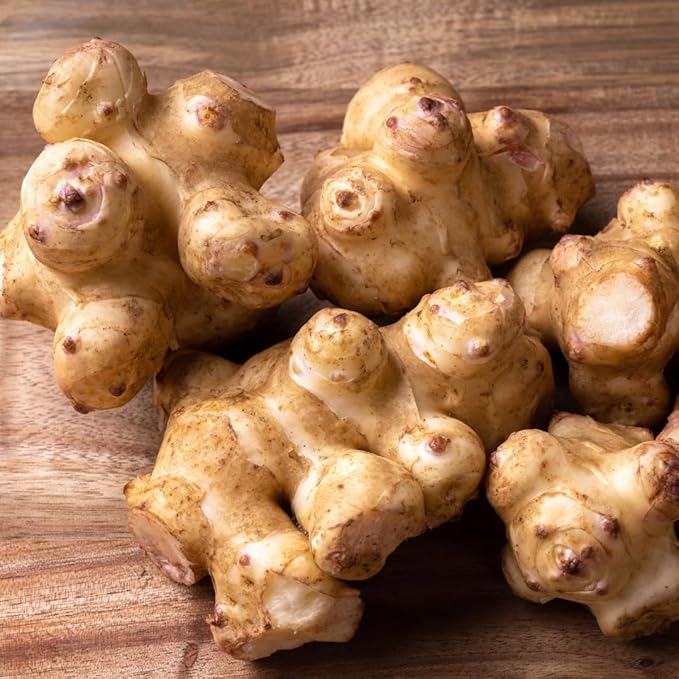 8 Oz Jerusalem Artichoke Tubers for Planting High Yield Sunchoke Rhizomes Bulbs for Planting Cold Hardy Gardening Indoor Outdoor