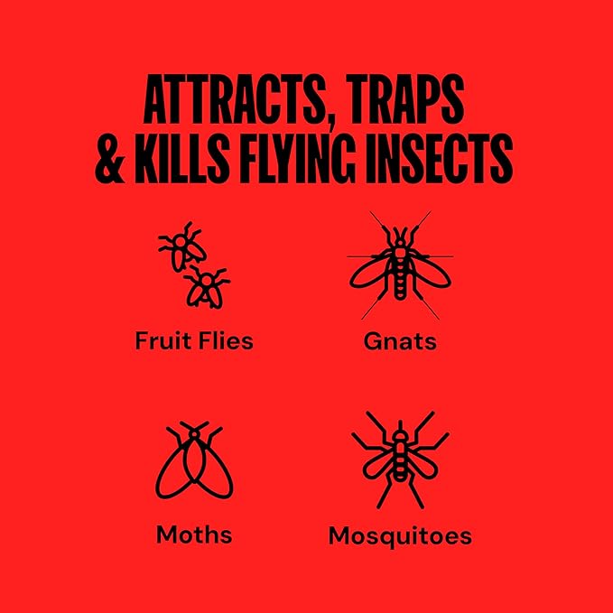 DynaTrap DT152 Indoor Insect Trap and Killer – Catches and Kills Gnats Flies Moths &amp Other Flying Insects
