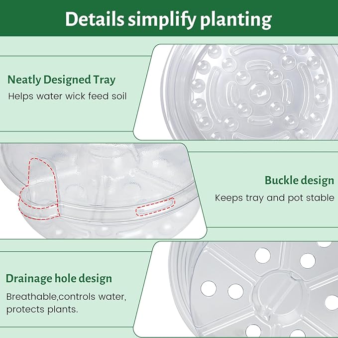 12 Pack 6.5 Inch Clear Self Watering Plant Pots with Bottom Water Tray &amp Watering Rope Transparent Nursery Pots with Drainage for Seedlings Herbs and Houseplants