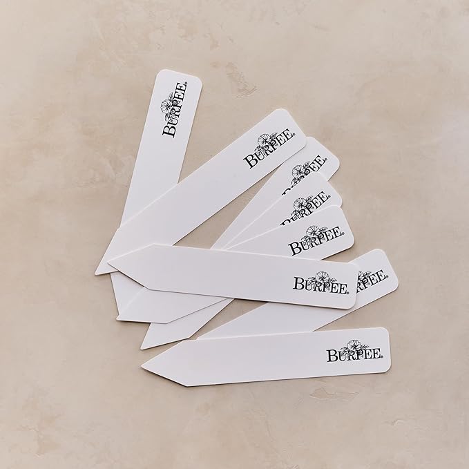 Burpee 'The Declaration Bouquet' Seed Collection – 5 Seed Flower Varieties Celebrating The Declaration of Independence and The American Revolution with Plant Labels &amp a Commemorative Keepsake Card