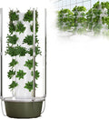 Hydroponic Growing System with Foldable LED Light Auto Water Circulation for Herbs Fruits Vegetables
