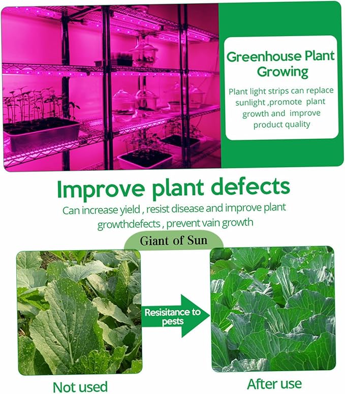 Solar Powered Grow Lights 16.4ft Full Spectrum Plant Light Strip with Panel for Garden Greenhouse