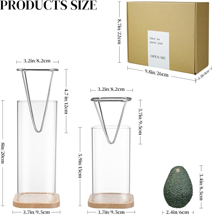 2 Pack Avocado Vase Grow Glass Avocado Seed Starter Vase Large Pit Propagation Kit Hydroponic Rooting Sprout Set