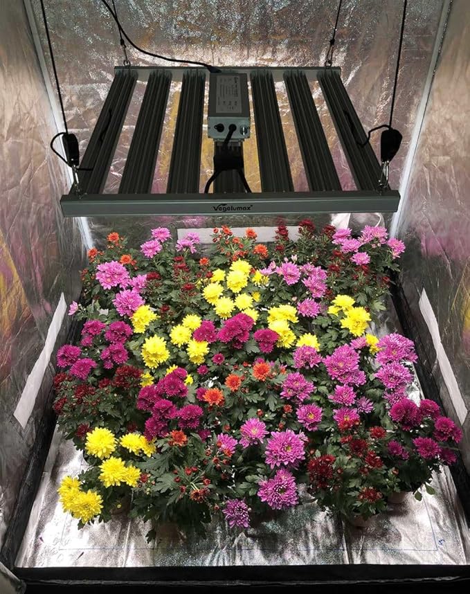 300Watt LED Grow Lamp UV IR Full Spectrum 4x4 5x5ft Coverage Grow Light Bar with 1092pcs Diodes 7 Bars Led Plant Growing Lamp for Vertical Farming Commercial Dimmable Easy Installation