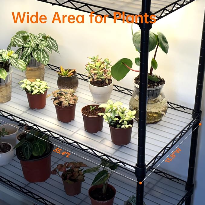 Bstrip Indoor Greenhouse with Grow Light Mini Green House with 4 Pack T8 Full Spectrum Plant Lights with Timer Indoor Greenhouse Cabinet for Indoor Plant Seed Starting Seed Tray 29.5x13.8x59