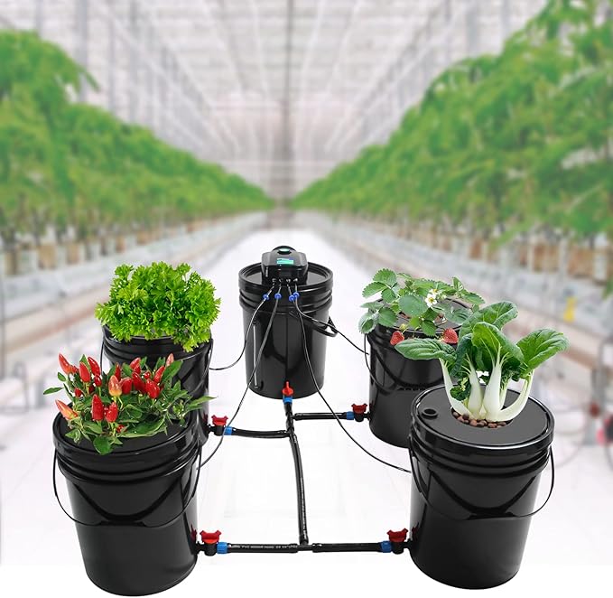 Hydroponic System5Gallon 5 BucketsIndoor Deep Culture Growing Kit Air PumpWater Level Assemblyfor Garden Balcony