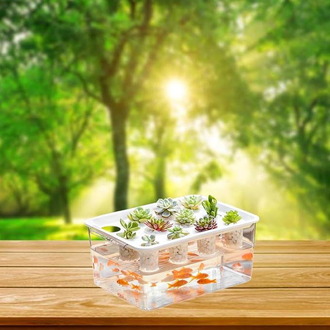 Hydroponics Grower Box Indoor Tabletop Mini Aquarium 12 Holes High Performance Desktop Micro Landscape Tank for Vegetables White