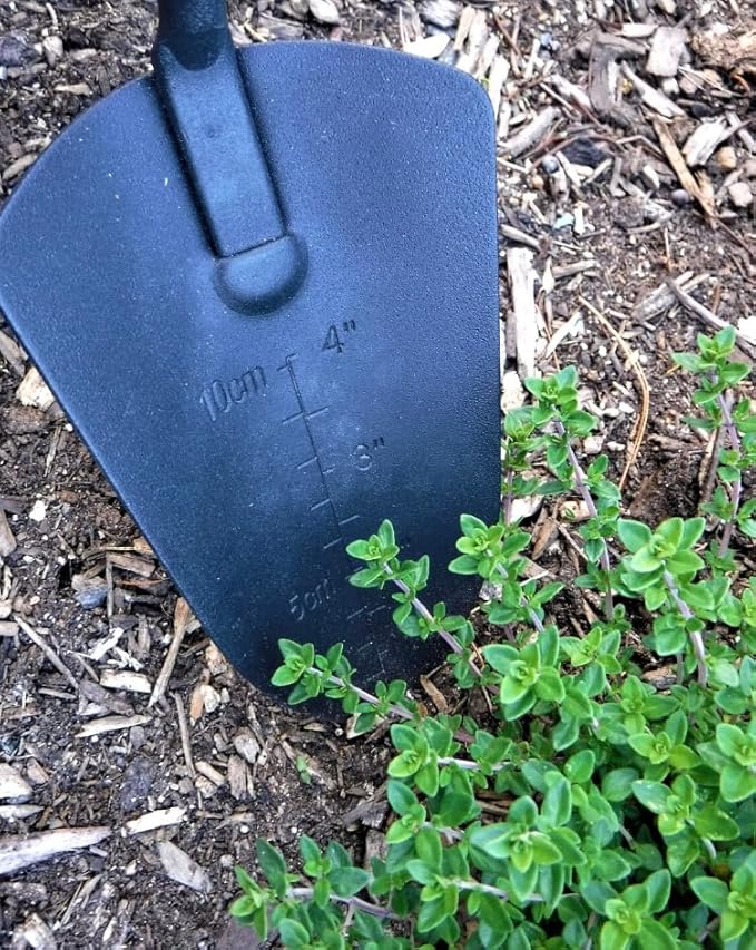 6-Piece Garden Tool Set with Wooden Handles and Carry Bag – Optional Engraving – Durable Gardening Kit for Planting Weeding Pruning &amp Outdoor Gifts for Gardeners (3 Tools Engraved)